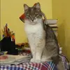 Отзыв от Нинель Кулагина